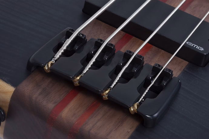 doremusic - Schecter Charles Berthoud