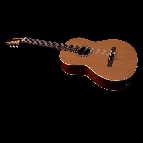 Godin745625