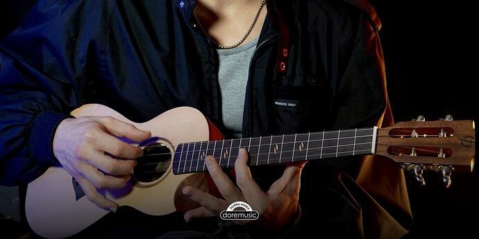 doremusic - Ukulele ile Çalınabilecek Popüler Şarkılar Başlangıç ve İleri Düzey İçin Akor Rehberi