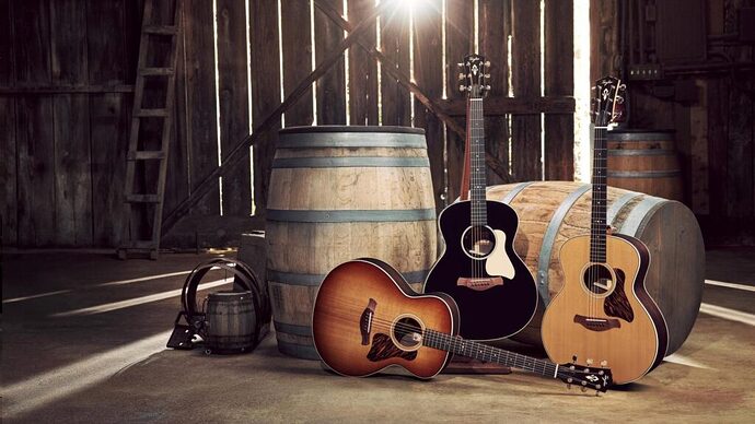 Folk Müzik: Gelenekten Geleceğe Akustik Bir Yolculuk