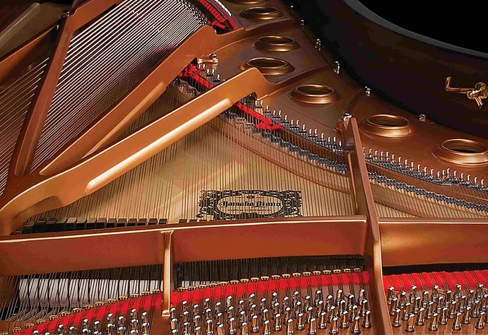 Tınıyı Anlamak: Müzikte Frekanslar ve Harmonikler Nasıl Çalışır?