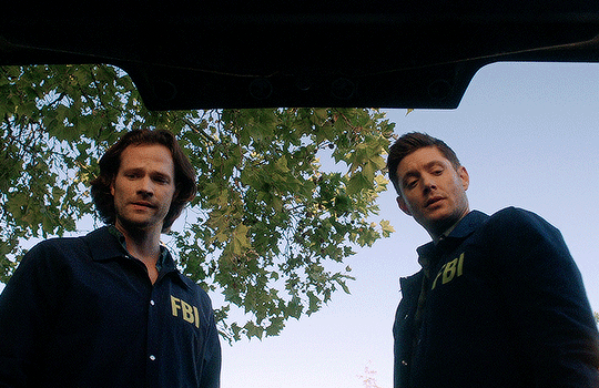 94c6e737c68914e9e7f427139862b72a